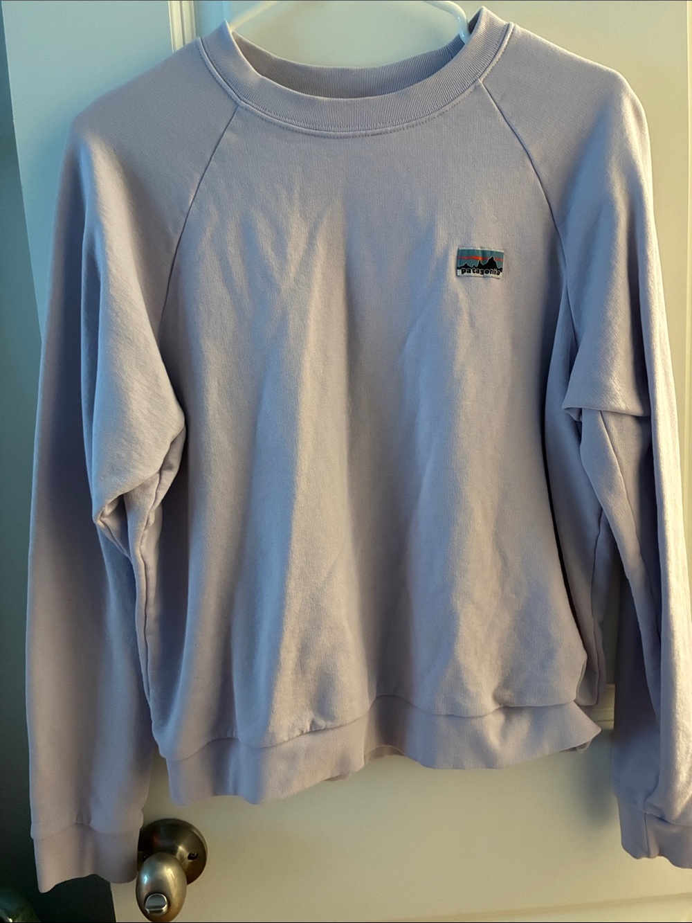 Patagonia Lavender Crew Sweatshirt with Small Logo
